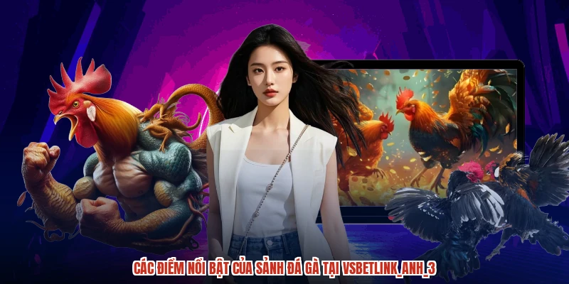 Các điểm nổi bật của sảnh đá gà tại VSBETlink_anh_3