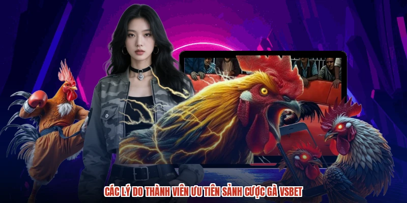 Các lý do thành viên ưu tiên sảnh cược gà VSBET