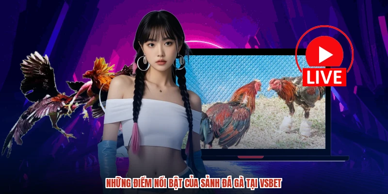 Những điểm nổi bật của sảnh đá gà tại VSBET