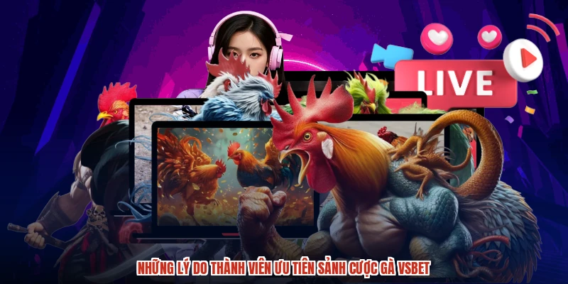 Những lý do thành viên ưu tiên sảnh cược gà VSBET