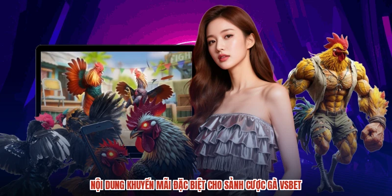 Nội dung khuyến mãi đặc biệt cho sảnh cược gà VSBET
