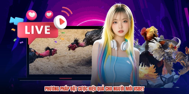 Phương pháp đặt cược hiệu quả cho người mới VSBET