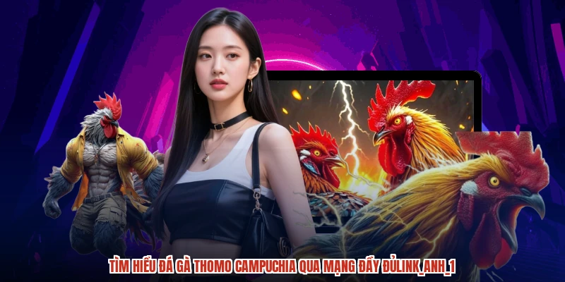 Tìm hiểu Đá gà Thomo campuchia qua mạng đầy đủlink_anh_1