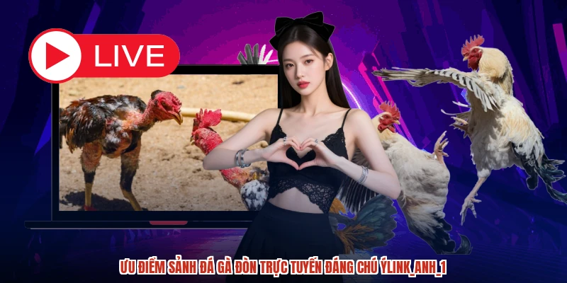 Ưu điểm sảnh Đá gà đòn trực tuyến đáng chú ýlink_anh_1