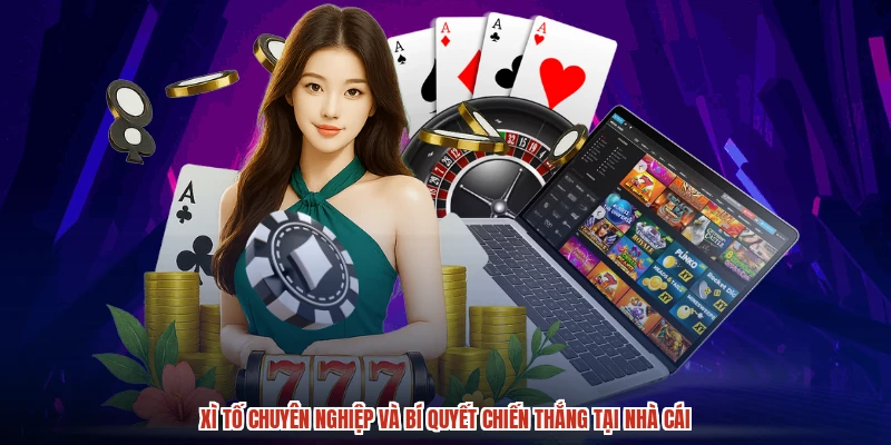 Xì Tố chuyên nghiệp và bí quyết chiến thắng tại nhà cái