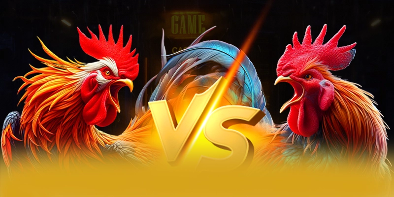 8XBET - Cổng game hiện đại trên thị trường