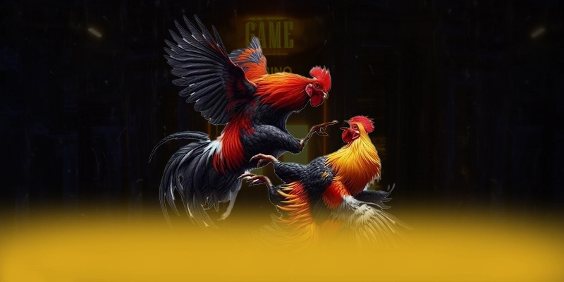 Điểm khác biệt của 8XBET trong cùng phân khúc