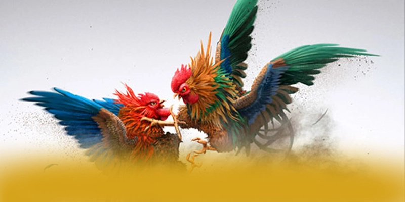Cùng trải nghiệm W88 - Cổng game bài được yêu thích nhất số 1 Việt Nam Cùng trải nghiệm W88 - Cổng game bài được yêu thích nhất số 1 Việt Nam