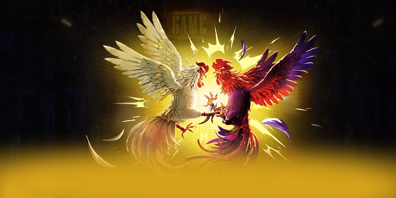 Phản hồi từ cộng đồng người chơi về BET88 Phản hồi từ cộng đồng người chơi về BET88
